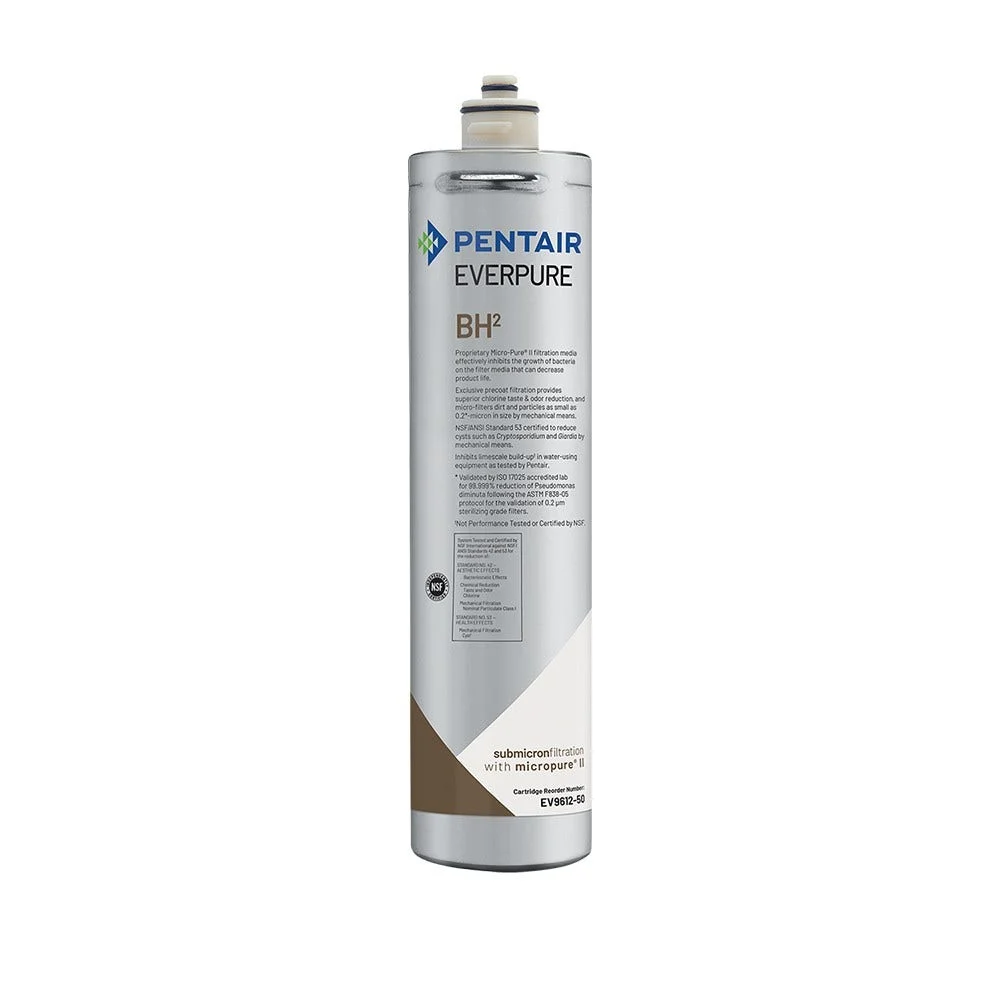 Cartouche filtrante Everpure BH² / EV961251 / EV9612-51