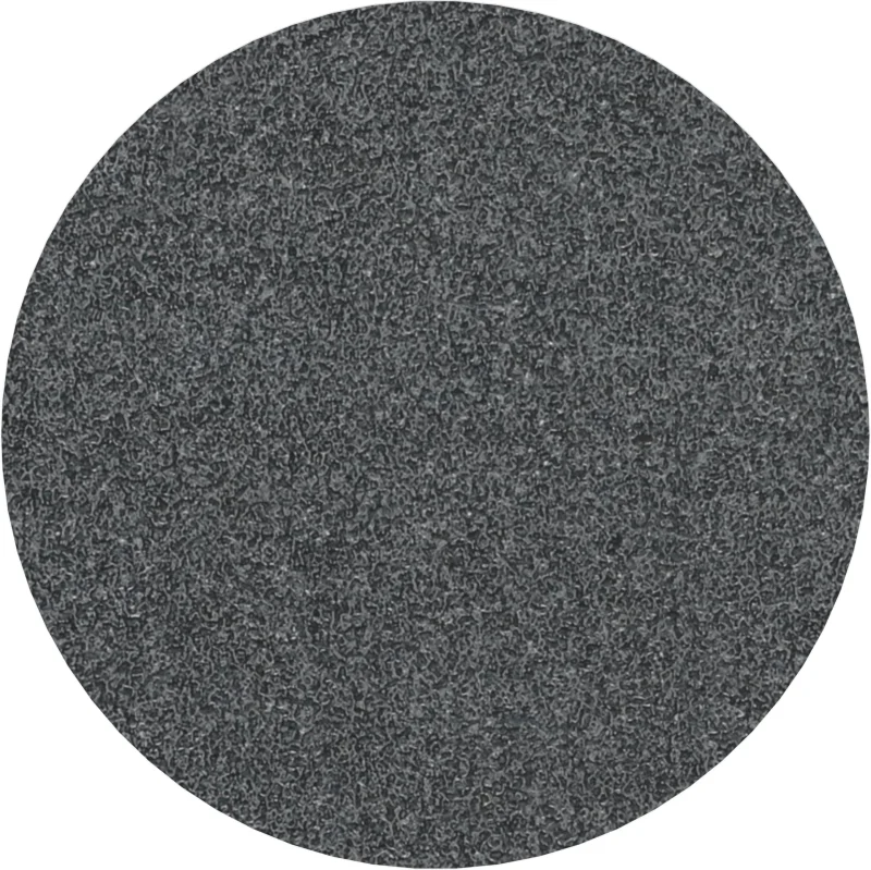 Bosch 10x Disque abrasif PRO Plastic and Hard Stone F355 (pour Béton, Pierre dure, Ø 125 mm, Grain 60, Professional Accessoire Petite meuleuse angulaire) - Bosch Outillages