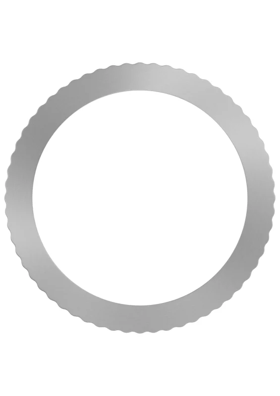 Bosch 1x Bagues de réduction PRO Reduction Ring pour lame de scie circulaire (Ø 20,0 mm, Professional Accessoire Scie circulaire portative, Scie circulaire à sec portative) - Bosch Outillages