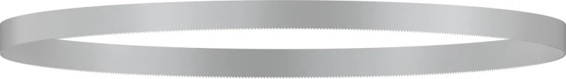 Bosch Outillages Lame de Scie à Ruban pour GCB 18 V-LI Professional, 24 TPI, Lot de 2, Grey