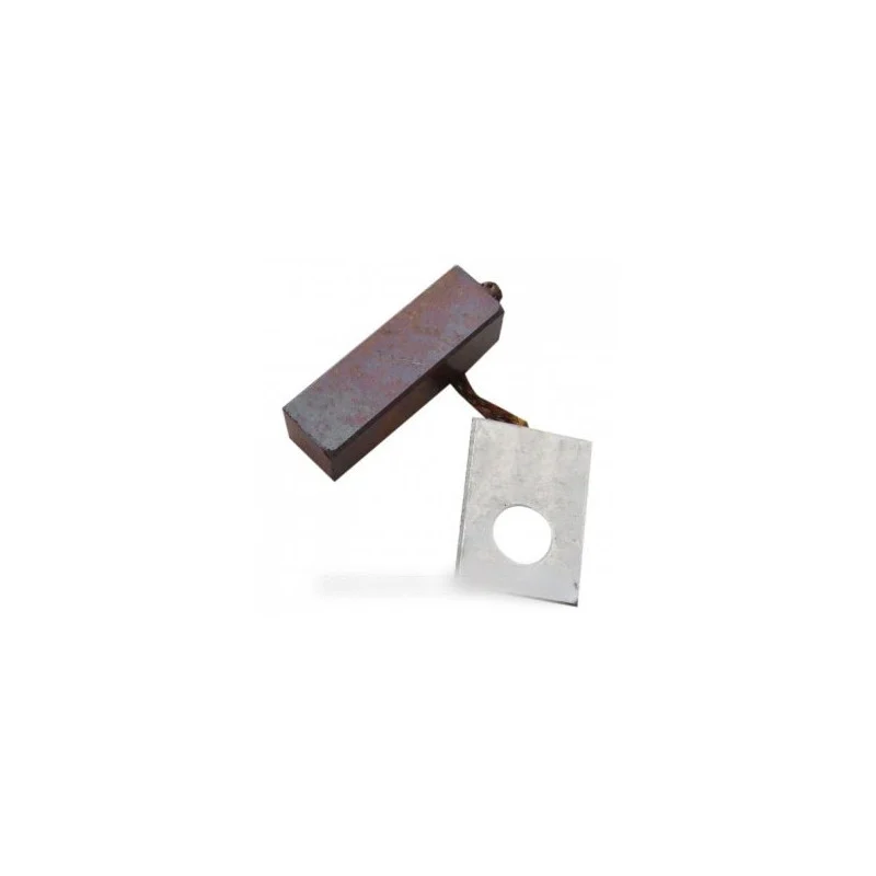 Balai carbone de mise à la terre pour Sèche-Linge ELECTROLUX 1123438101