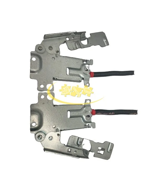 Charnière de porte pour lave vaisselle Electrolux 4055510202 - Electrolux Arthur-Martin Faure Aeg Lincoln Zanussi Zoppas chap