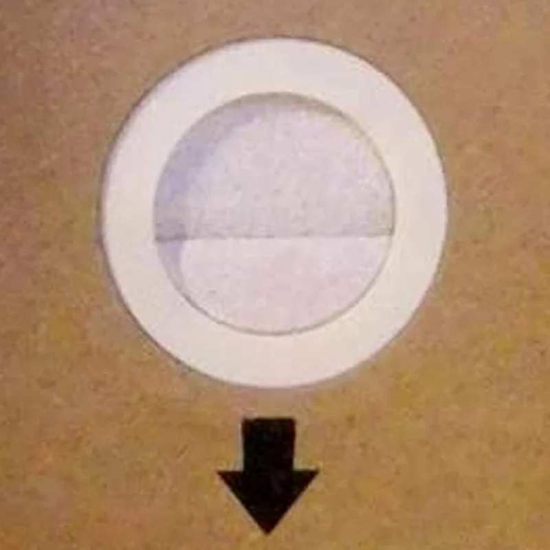 Domo Sac d'aspirateur en papier DO7283S-Set2 pour DO7283S/DO7284S 2,5 l