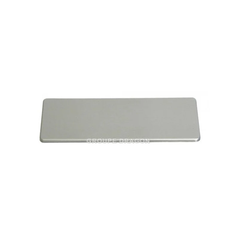Enjoliveur poignée de porte pour Lave-vaisselle Candy inox 41000012
