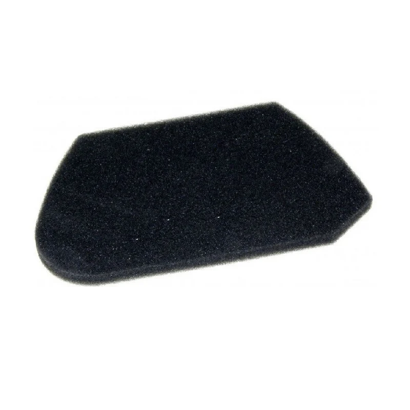 Filtre pour Aspirateur MOULINEX ZR005501
