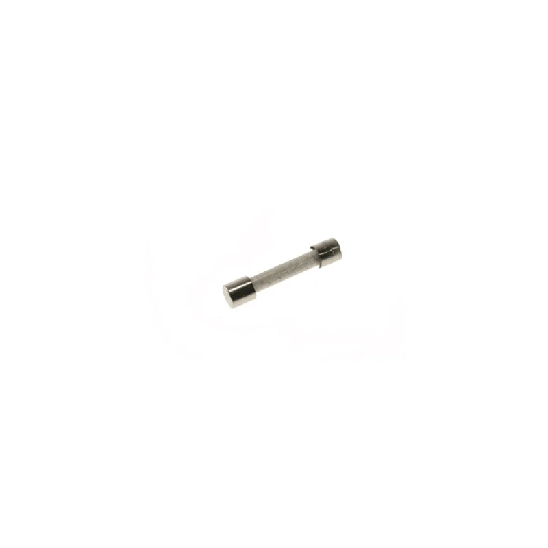 FUSIBLE 12 AMPERE POUR MICRO ONDES A.E.G - 407137305