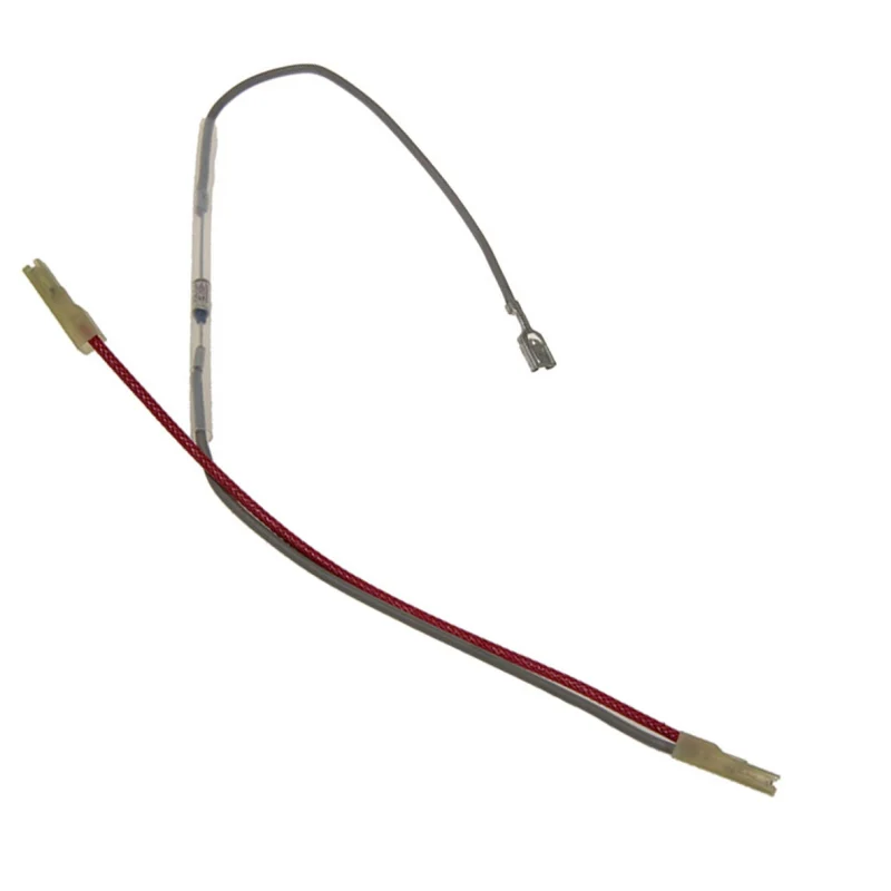 Fusible de sécurité 1/2 DELONGHI 5013253881