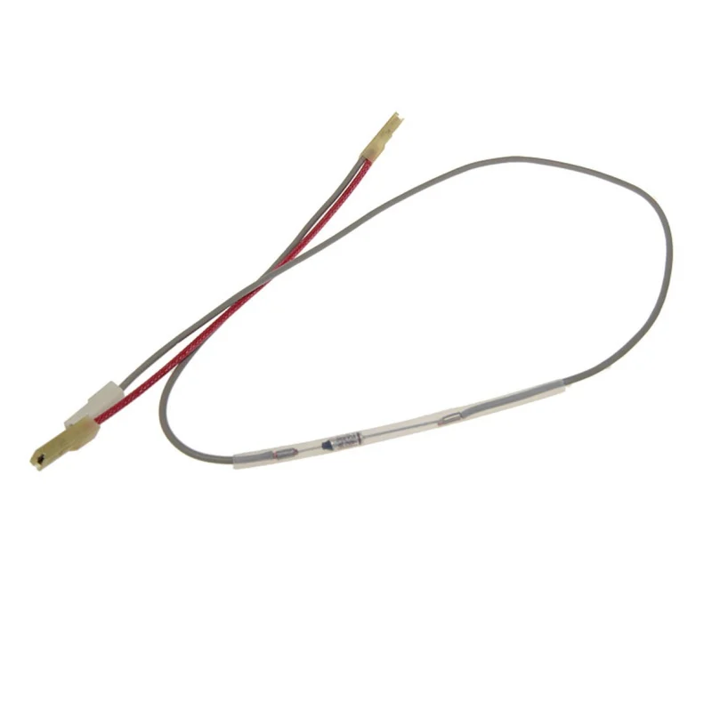 Fusible de sécurité n°2/2 DELONGHI 5013253891