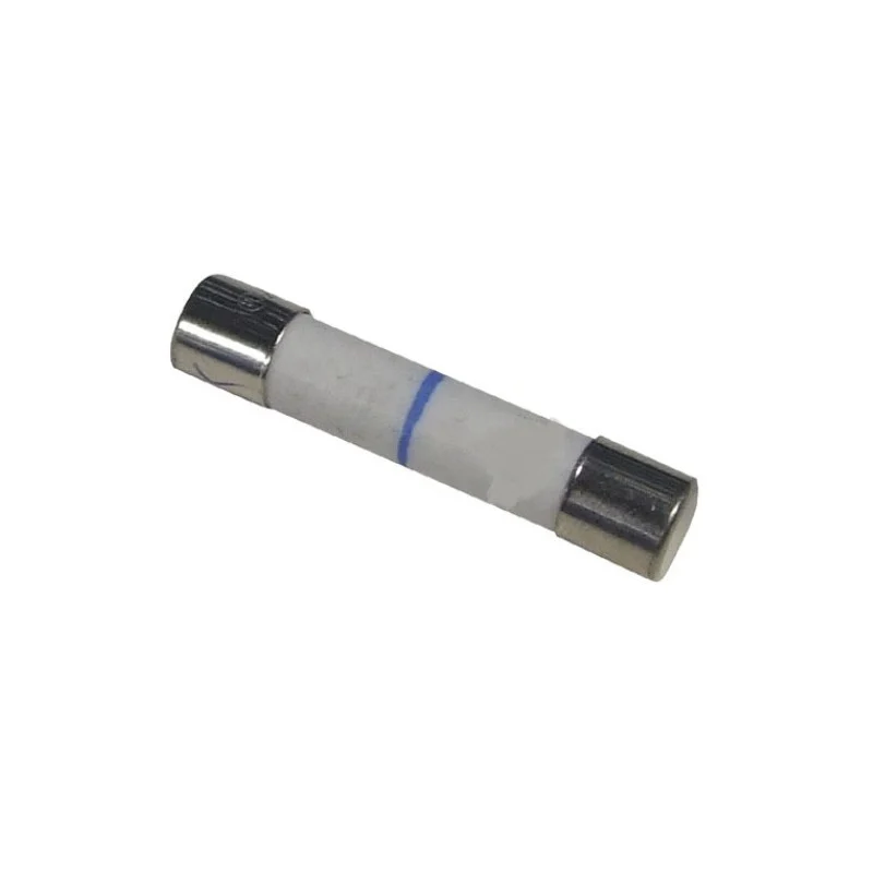 Fusible pour Micro-ondes FAGOR AS0000543