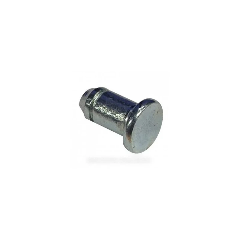 Goujon de charnière pour Lave-vaisselle Hotpoint - Ariston C00048504