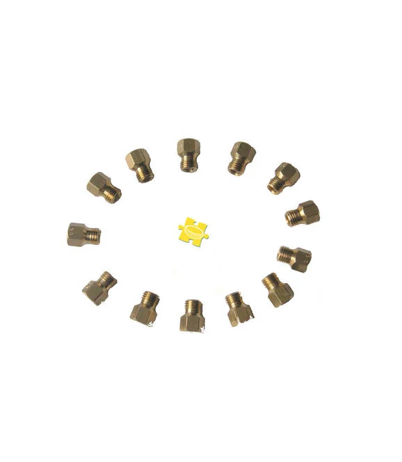 Injecteurs gaz butane - propane + gaz naturel (12pieces)