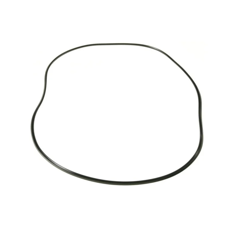 Joint de porte d'origine BOSCH 11019169 - BOSCH B/S/H
