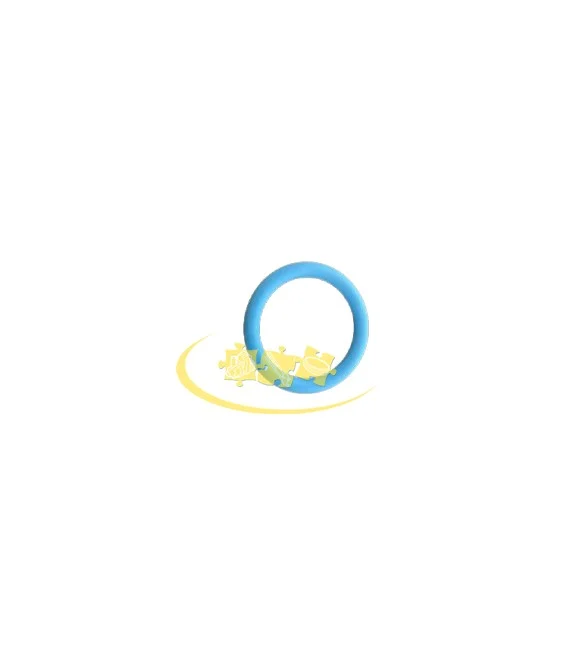 Joint torique bleu O-Ring 20 x 3 pour lave vaisselle Whirlpool ( vendu à l'unité ) C00298442 482000089379 .Se pose sur l'aspers