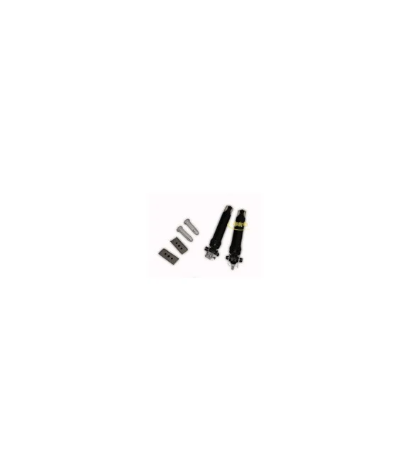 Kit d'amortisseurs de lave linge Indésit - Ariston C00309597