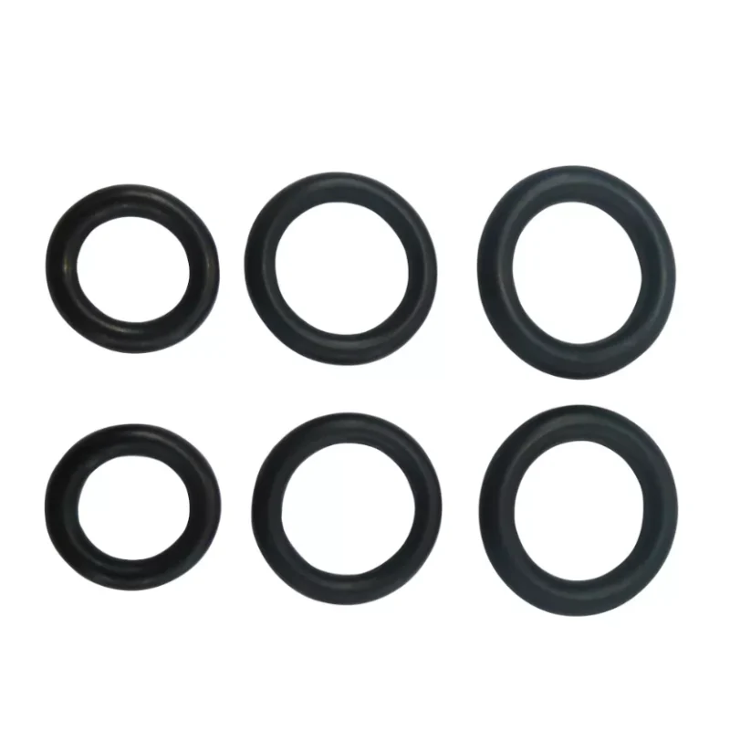 Lot de joints pistolet pour nettoyeur haute pression AQT Bosch - F016F04458