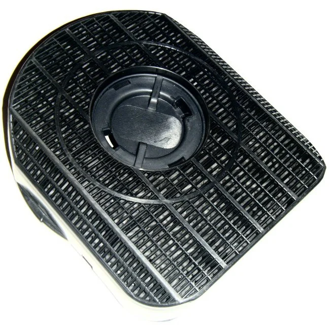 Filtre charbon C00090813 modèle 200 - Promos
