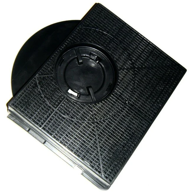 Filtre charbon C00090815 modèle 303 - Promos