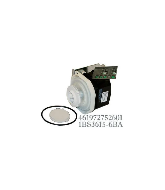 Moteur de lave vaisselle Whirlpool 481070109852 - Whirlpool Laden Ignis Baucknecht Radiola Philips