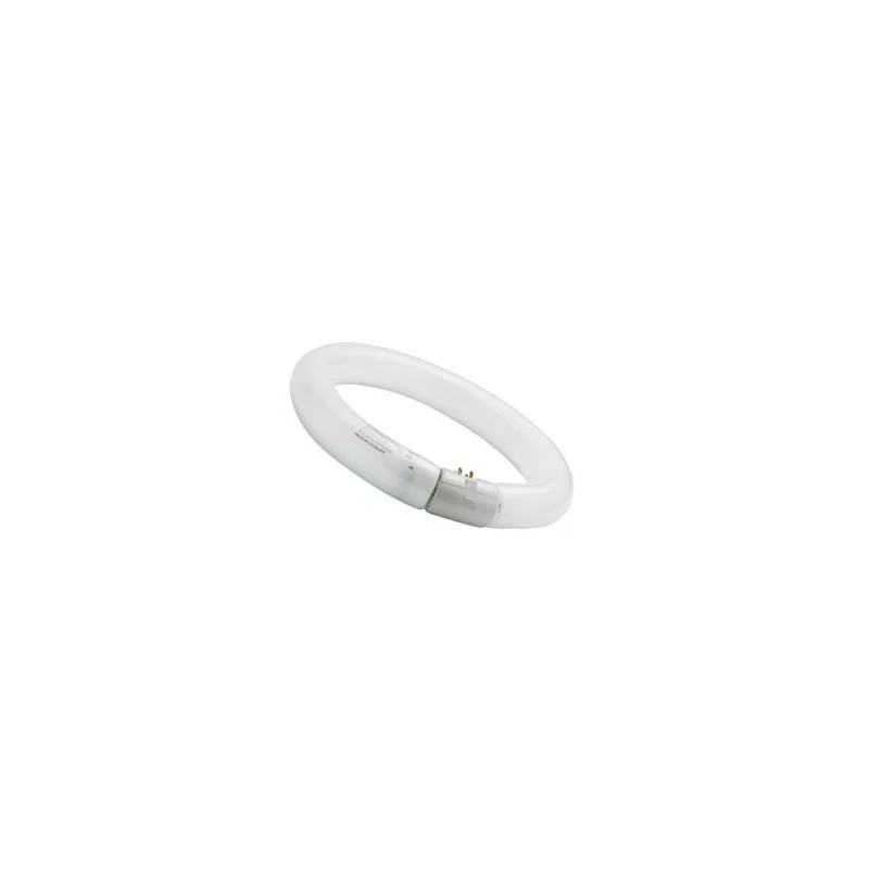 Sylvania circulaire 32 W 12 Blanc froid 840 - DIVERS MARQUES