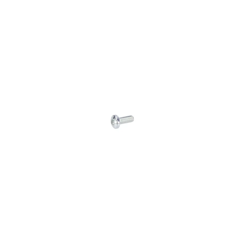 Vis pour ponceuse excentrique GEX 125-1AE et autres modèles BOSCH - 2610915161