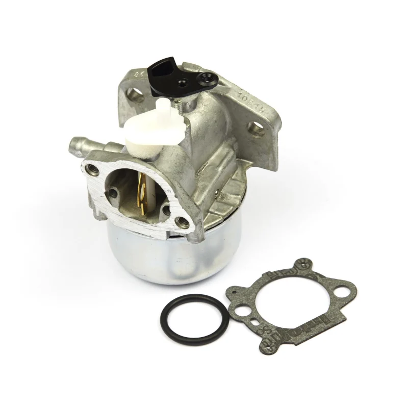 Briggs & Stratton 799869 Carburateur