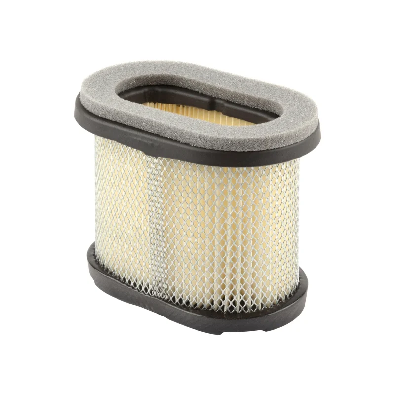 Briggs and Stratton Cartouche de Filtre à air d’Origine 697029 - Briggs & Stratton