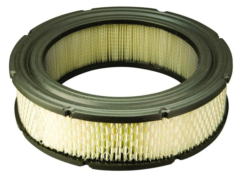 Briggs & Stratton Cartouche de Filtre à air Vanguard V-Twin 692519