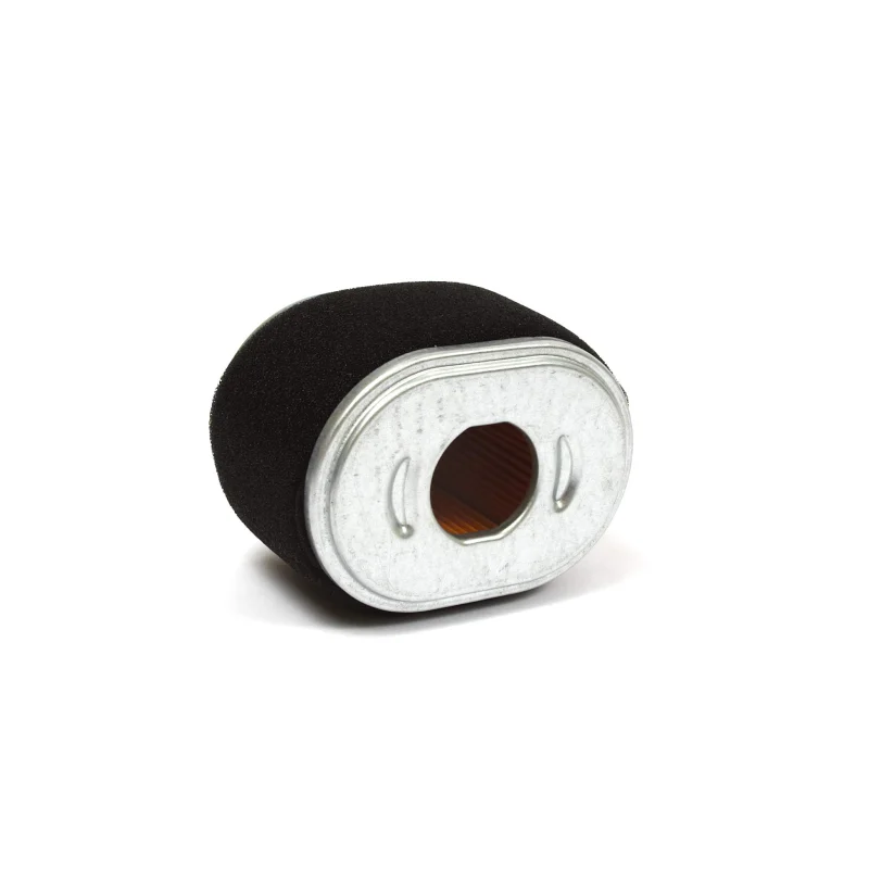 Briggs & Stratton 590601 Filtre à air, Multicolore