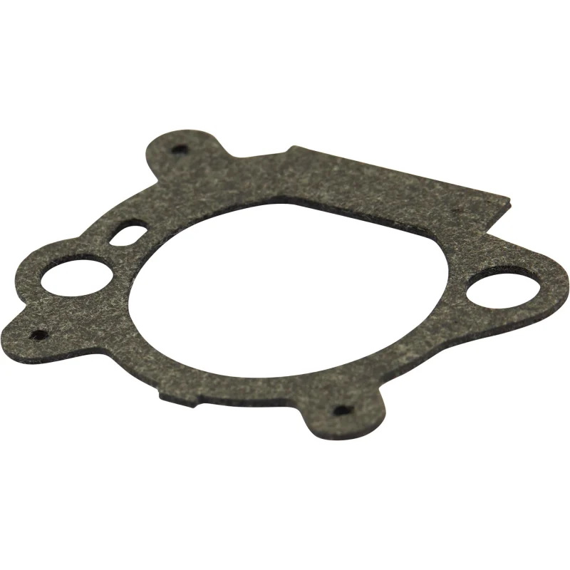Filtre à air & joint briggs stratton 795629 - Briggs & Stratton