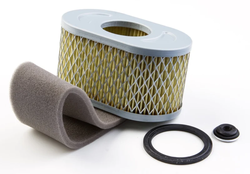 Briggs & Stratton 797033 Filtre à air, Multicolore