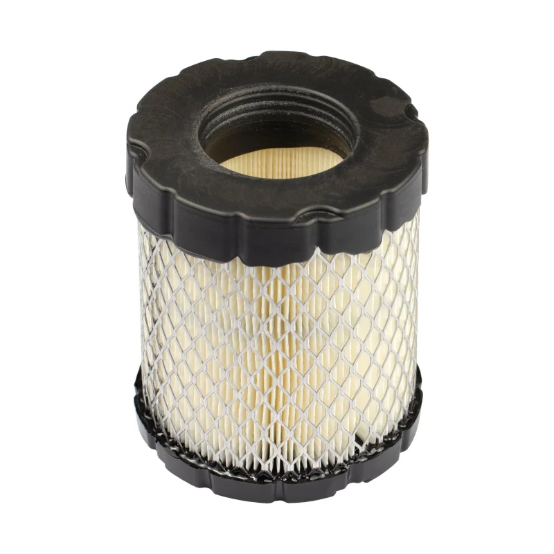 Briggs & Stratton 798897 Filtre à air, Noir