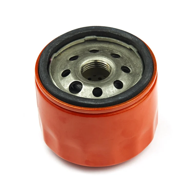 Filtre à huile premium Briggs & Sratton 798576 - Briggs & Stratton