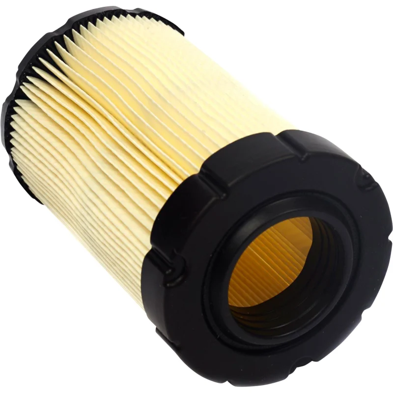 Briggs & Stratton 594201 Filtres à air, Multicolore