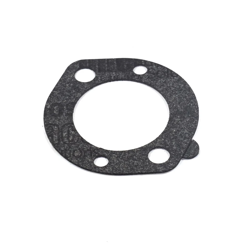 Briggs & Stratton 696024 Pièce de rechange pour joint de filtre à air