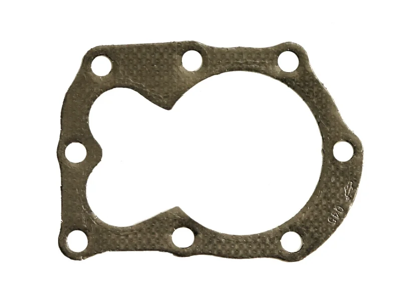 Briggs and Stratton 698717 Joint de Culasse - Briggs & Stratton
