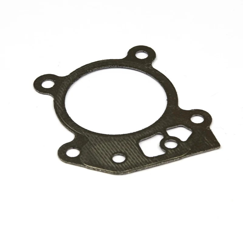 Joint de culasse Briggs & Sratton 799586 - Briggs & Stratton