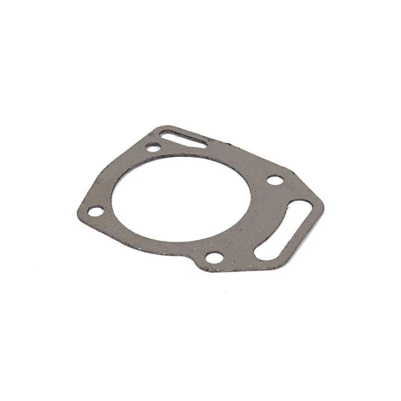 Joint de culasse Briggs & Stratton 845884